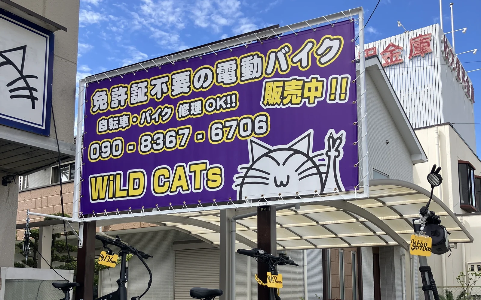 ワイルドキャッツ